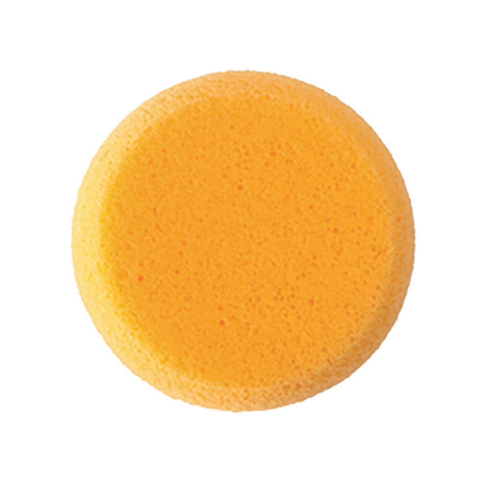Ben nye Hydra Sponge
