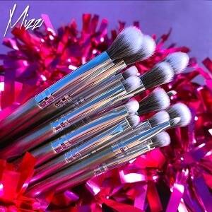 Silver 15 Eye Brush Set